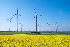 parc d'éoliennes