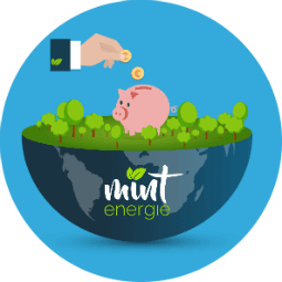 mint energie economies