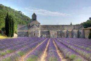 abbaye de senanque