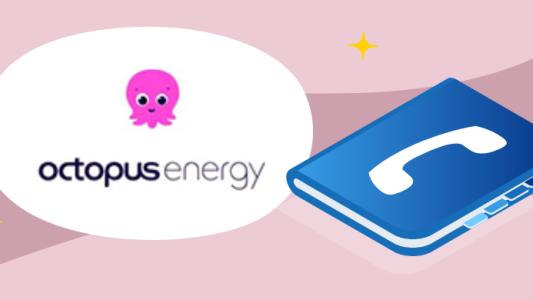 Octopus Energy France